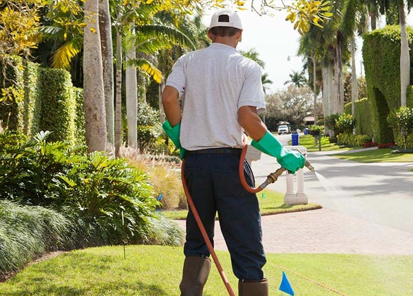 About Collinsville AL Pest Control